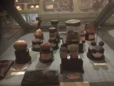 Cabinet of curiosities