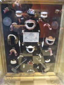 False teeth display