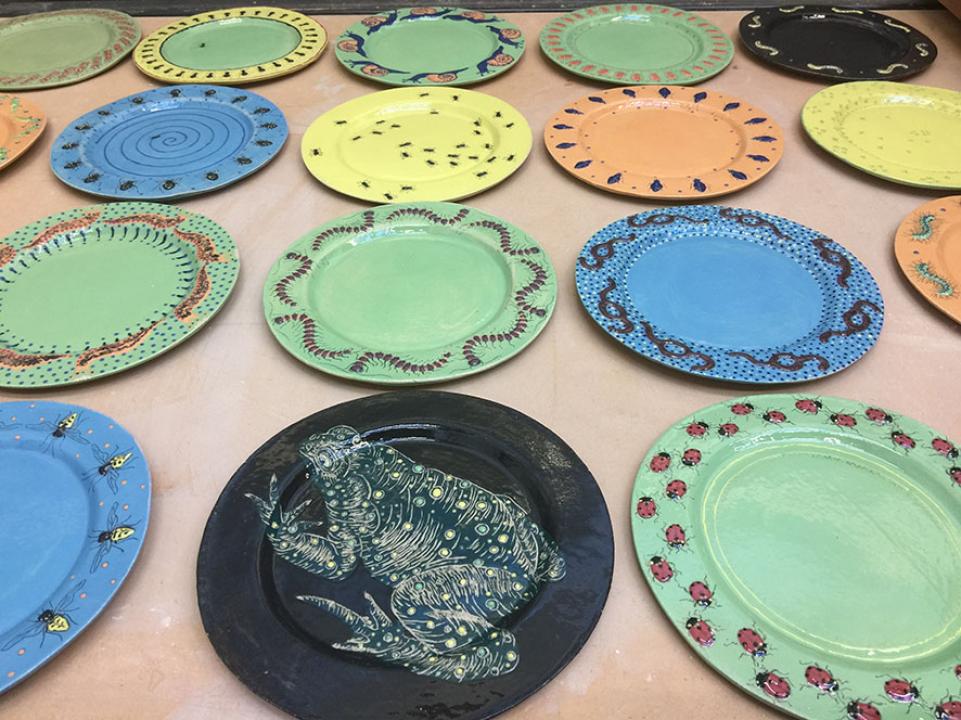Insect plates made for GFF
