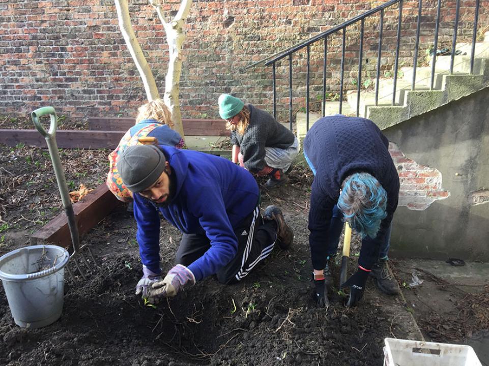 Students clearing herb bed