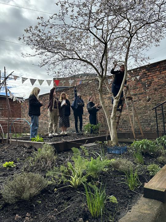 Picking Magnolia Blossom